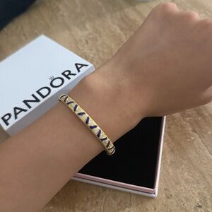 Pandora Shine Exotic Stones and Stripes Bangle